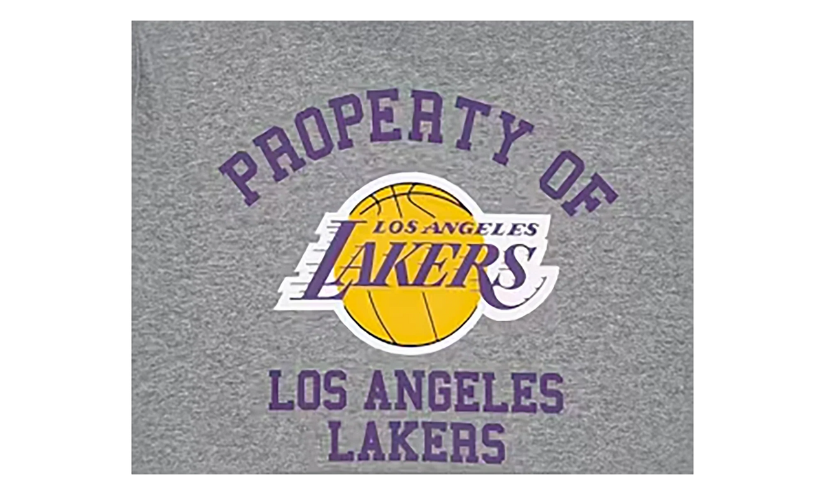 NBA Hoodie Los Angeles Lakers "Grey" EE173