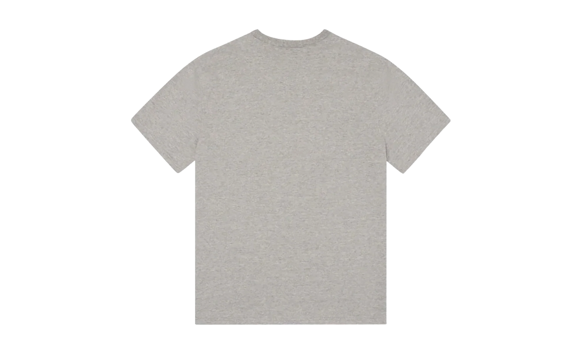 Mission Statement Tee "Grey" DT322