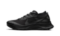 Pegasus Trail 3 Gore-Tex Wmns"Black" DC8794 001