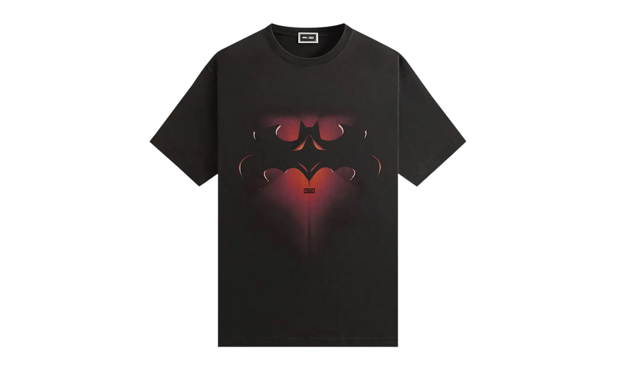 Batman and Robin Logo Vintage Tee "Black" KHM032760 001