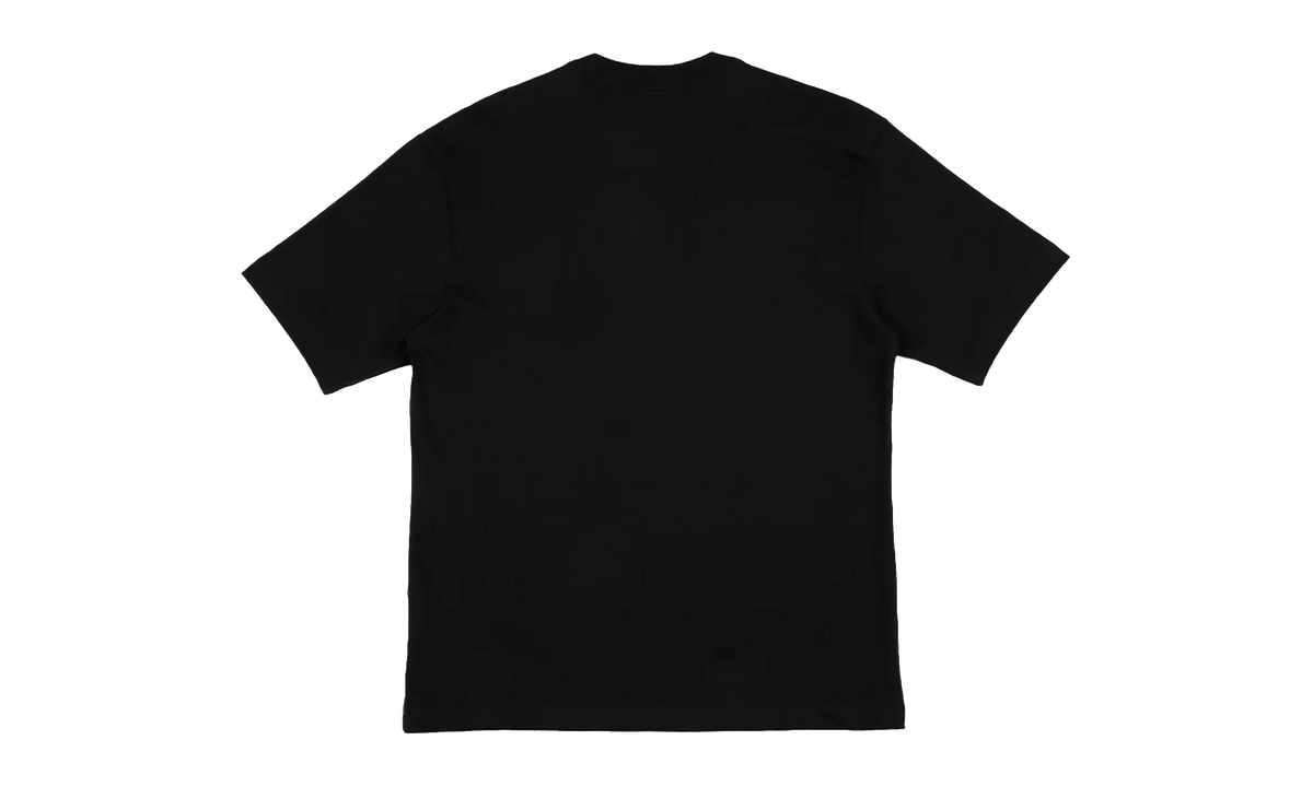Jordan Graphic Tee "Off-Noir / Infrared 23" IQ0786 045