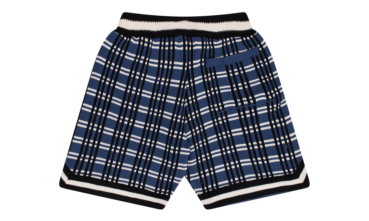 Plaid Basketball Knit Shorts "Blue" RHFW23JA23151864
