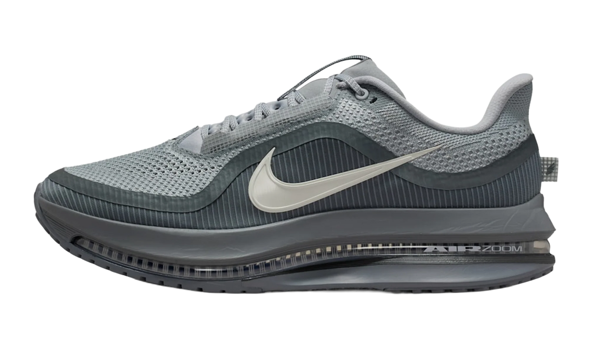 Air Zoom Pegasus Premium "Wolf Grey" HQ2592 013
