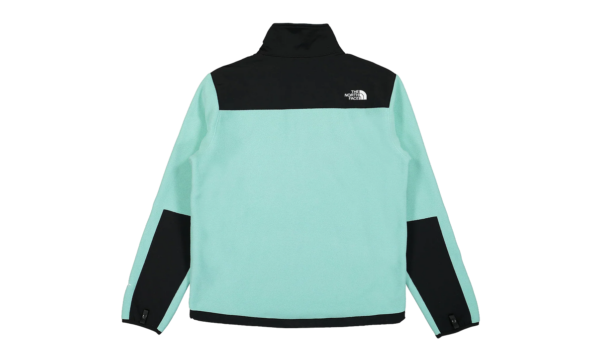 Denali Jacket "Wasabi" NF0A7UR26R7