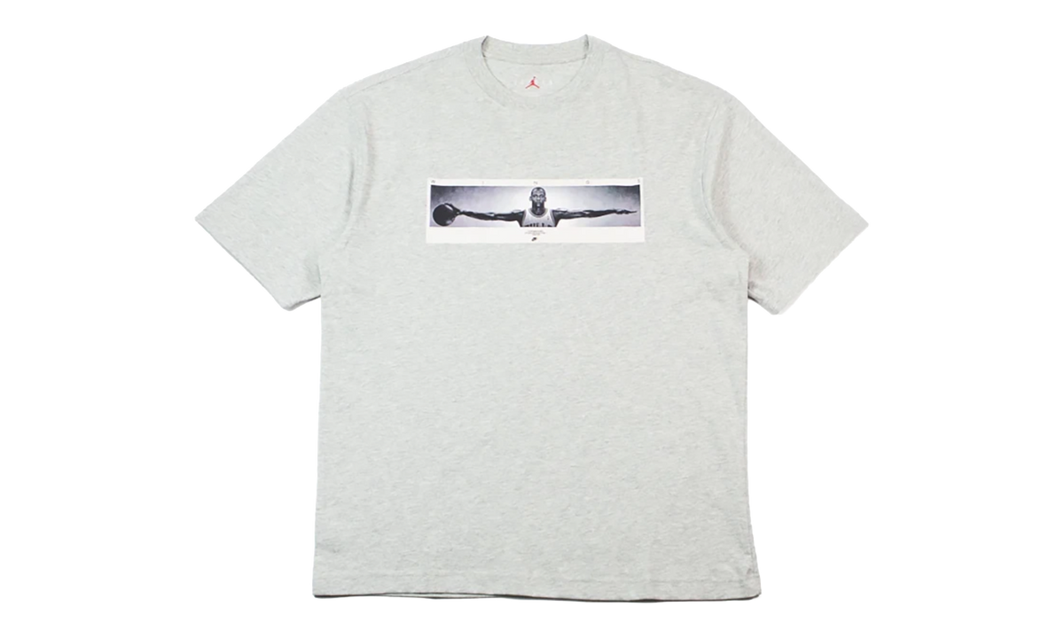 Wingspan Photo T-Shirt "Grey" IF5617 050