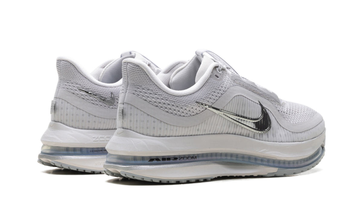 Pegasus Premium WMNS"Metallic Silver" HQ2593 005