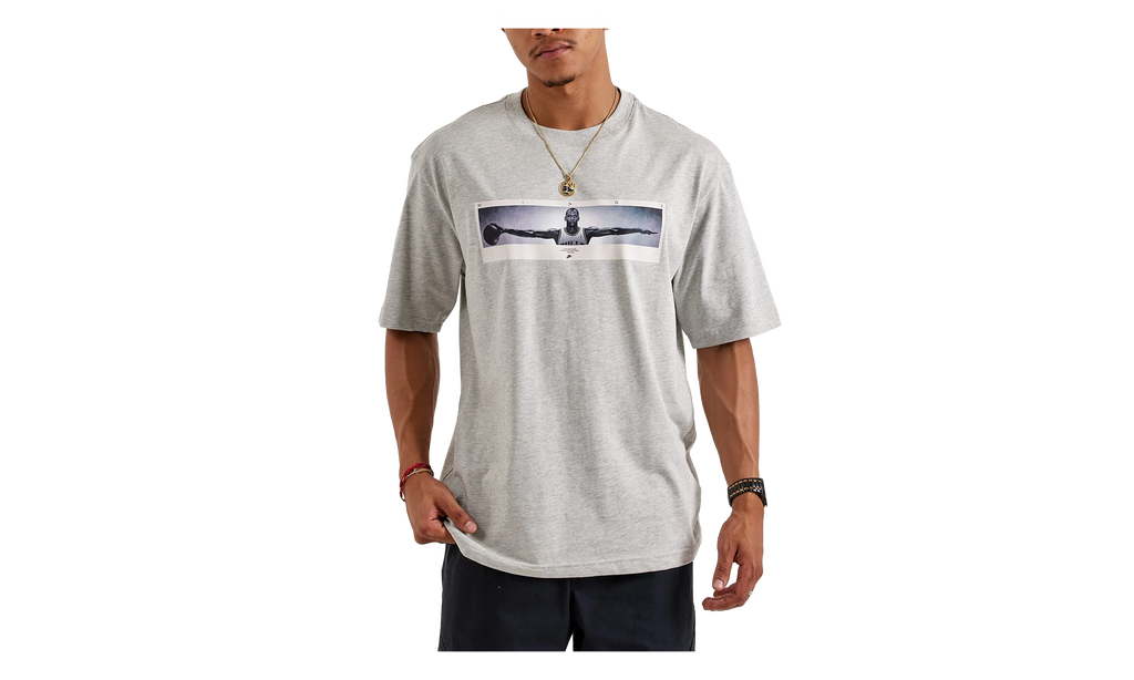 Wingspan Photo T-Shirt "Grey" IF5617 050