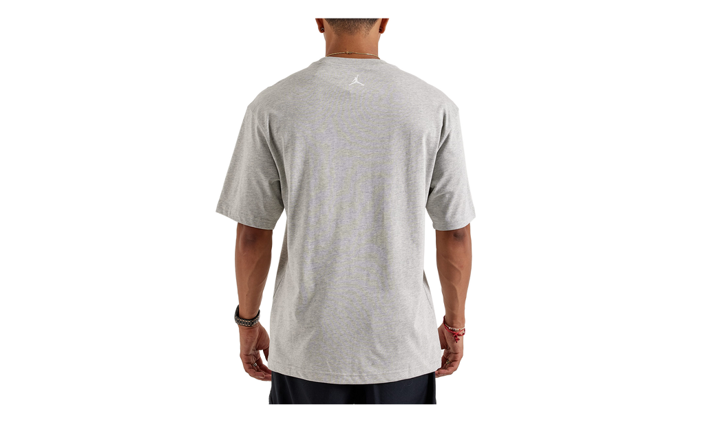 Wingspan Photo T-Shirt "Grey" IF5617 050