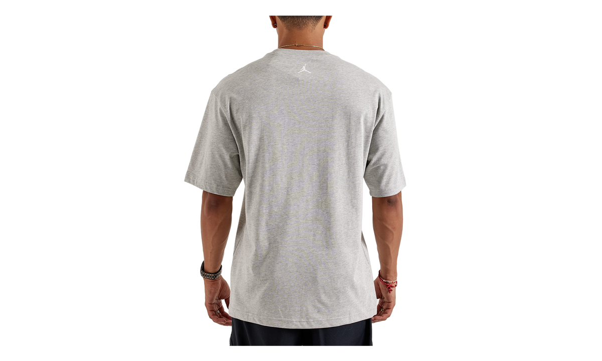 Wingspan Photo T-Shirt "Grey" IF5617 050