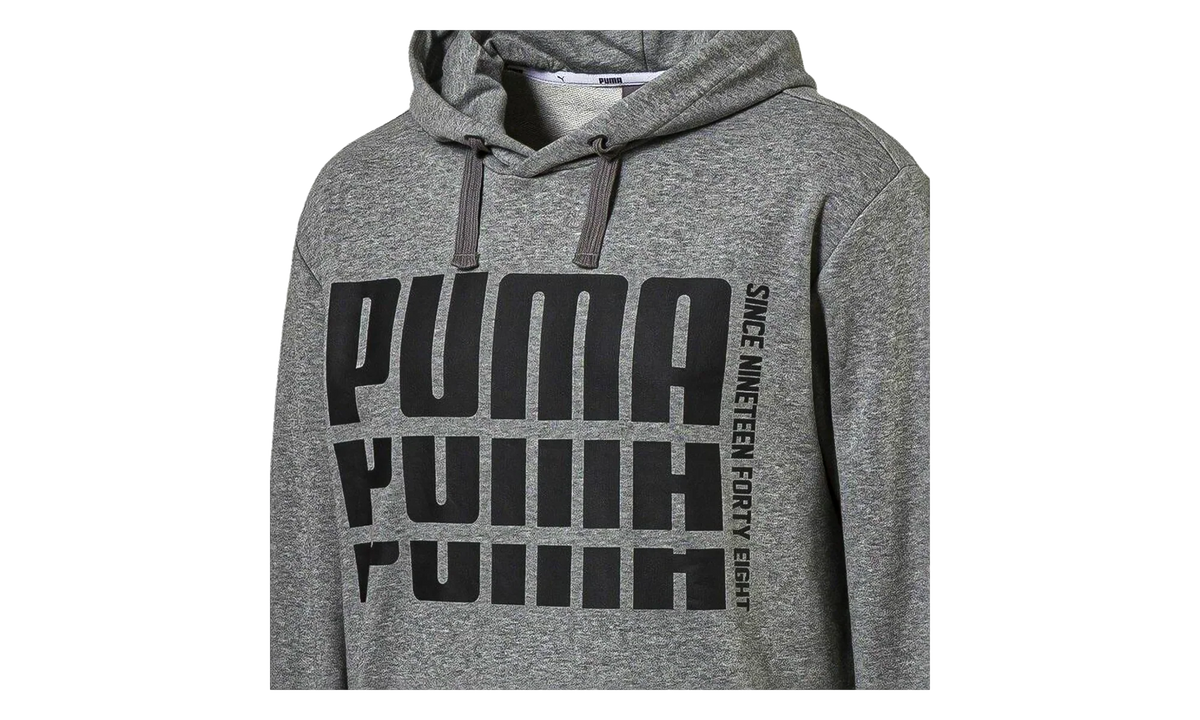 Rebel Bold Hoodie "Gray" 853390 03