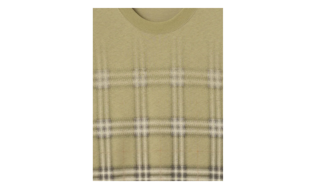 Gradient Check Cotton T-shirt "Glade Green" 8119023