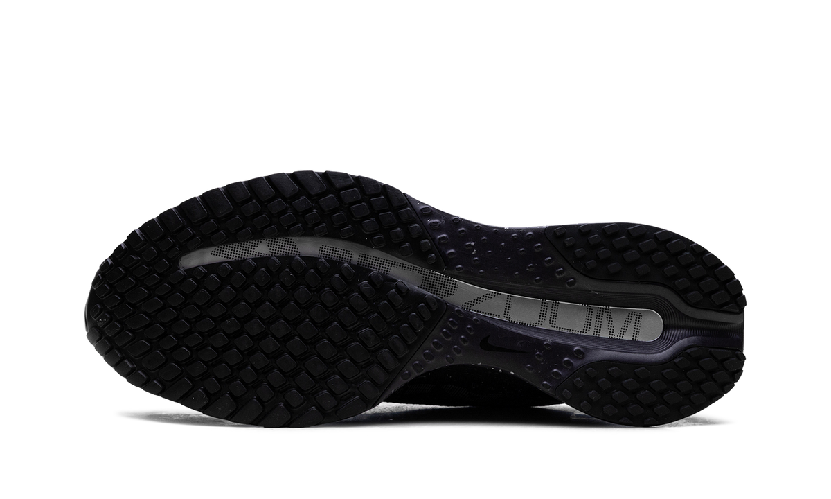 Pegasus Premium SE WMNS"Cave Purple" IH0861 500