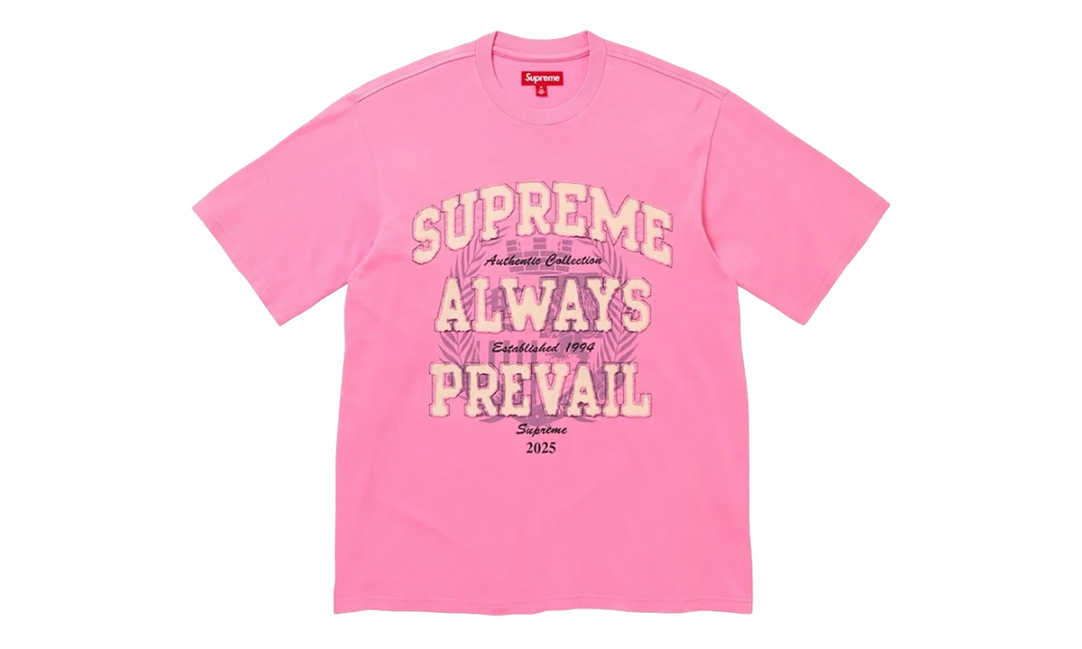 Always Prevail Short-Sleeve Top "FW25 - Pink" SU27058