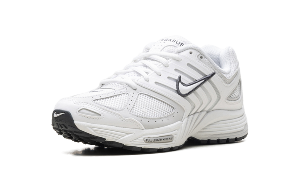 Air Pegasus 2005 WMNS"Summit White Photon Dust" HQ5718 103