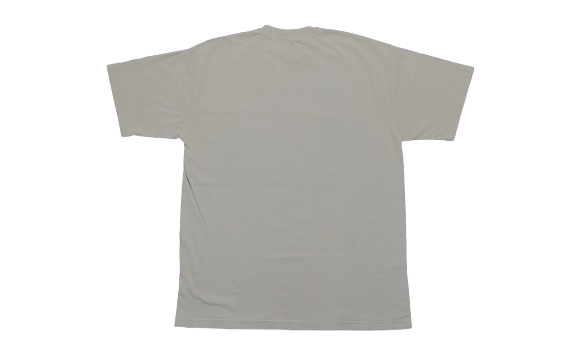 Yankee Arachnophobia Short Sleeve Tee "Grey" SP5der332