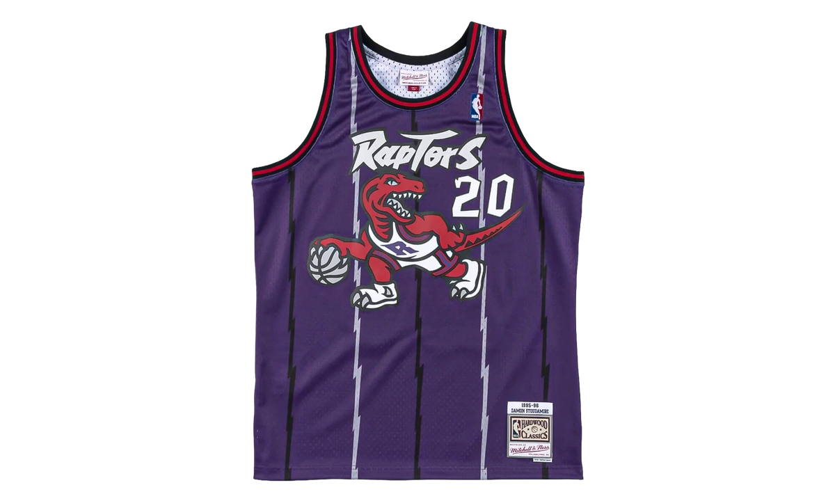 Toronto Raptors Damon Stoudamire Swingman Jersey "1995 - 96 Away" B6335651