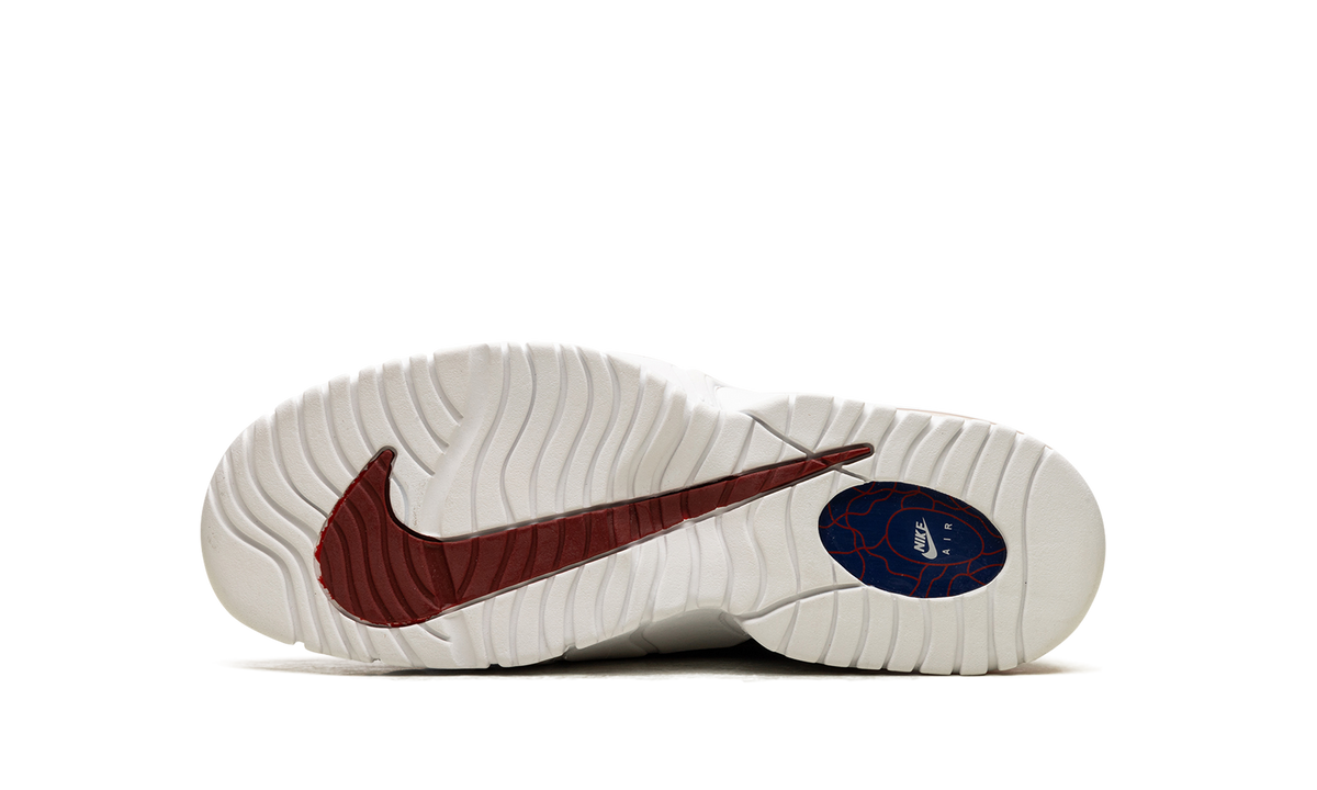 Air Max Penny Le (Gs) 315519 400