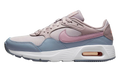 Air Max SC WMNS"Amethyst Ash" CW4554 500