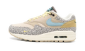 Air Max 1 WMNS"Safari Cobblestone" DV3027 001