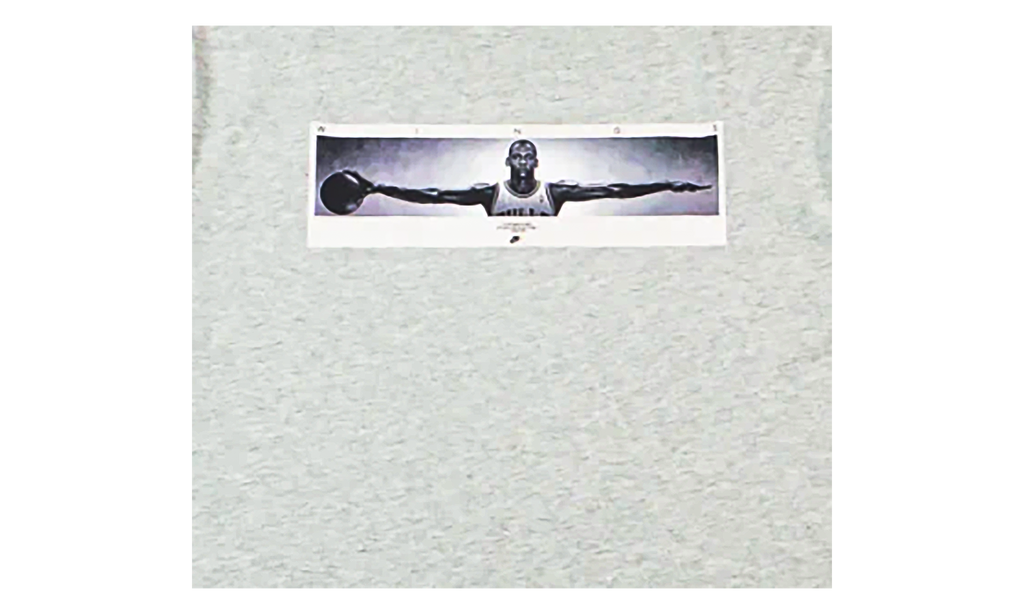 Wingspan Photo T-Shirt "Grey" IF5617 050