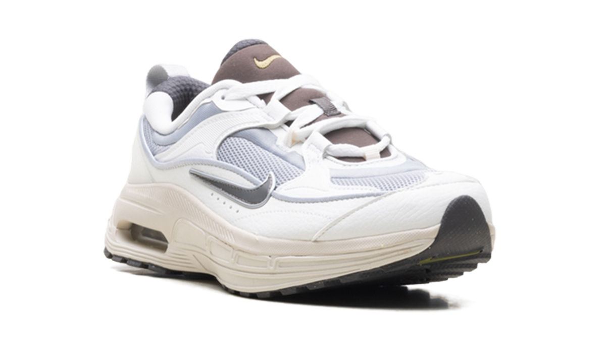 Air Max Bliss WMNS"Next Nature Wolf Grey Summit White" DZ4707 001