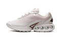 Air Max Dn"Light Orewood Brown" FJ3145 101